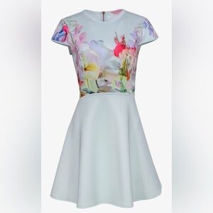Ted Baker Floral Dress, Size 2
